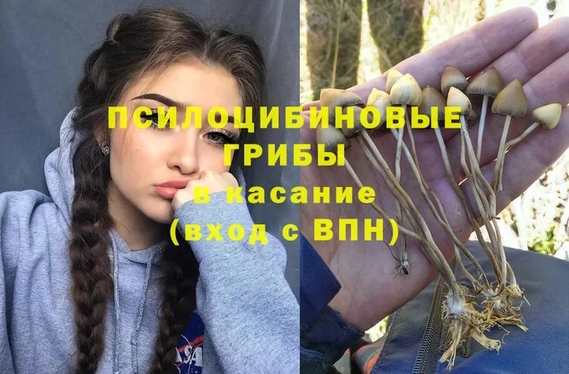 Псилоцибиновые грибы GOLDEN TEACHER  Суоярви 